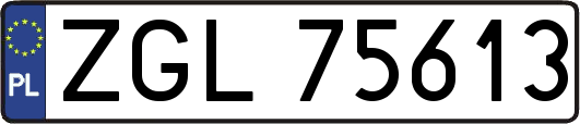 ZGL75613