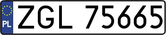 ZGL75665