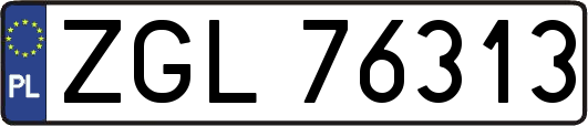 ZGL76313