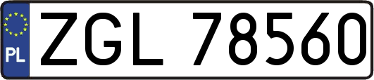 ZGL78560