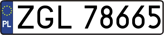 ZGL78665