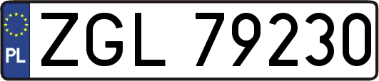 ZGL79230