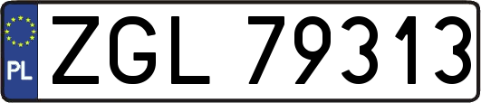ZGL79313