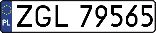 ZGL79565