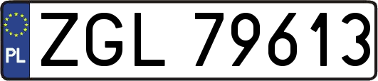 ZGL79613