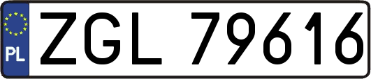 ZGL79616