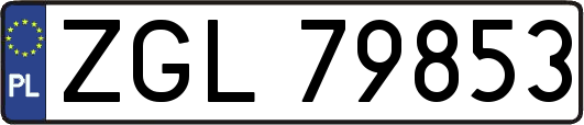 ZGL79853