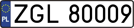 ZGL80009