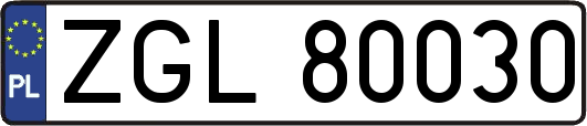 ZGL80030