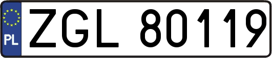 ZGL80119