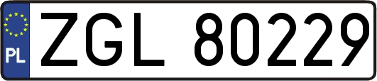 ZGL80229