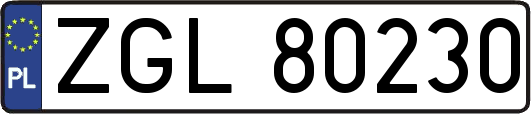 ZGL80230