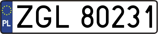 ZGL80231