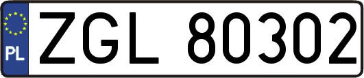 ZGL80302