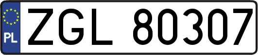 ZGL80307