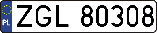 ZGL80308