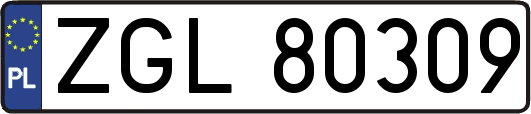 ZGL80309
