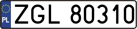 ZGL80310