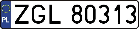 ZGL80313