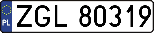 ZGL80319