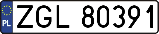 ZGL80391