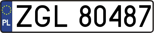 ZGL80487