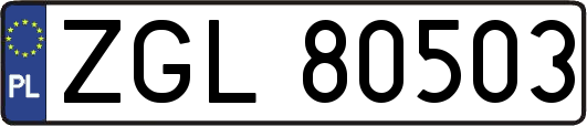 ZGL80503