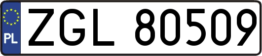 ZGL80509