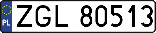 ZGL80513
