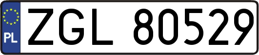 ZGL80529
