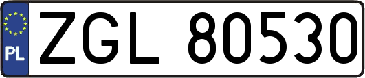 ZGL80530