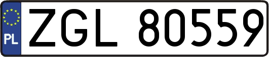 ZGL80559