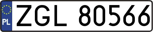 ZGL80566