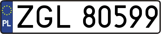 ZGL80599