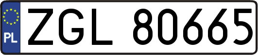 ZGL80665