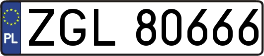 ZGL80666