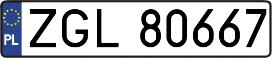 ZGL80667