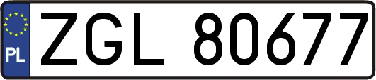 ZGL80677