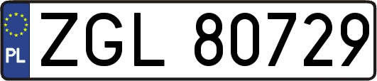 ZGL80729