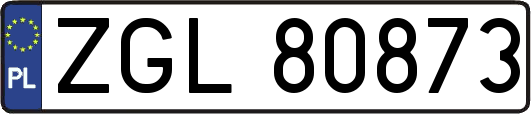 ZGL80873