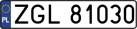 ZGL81030