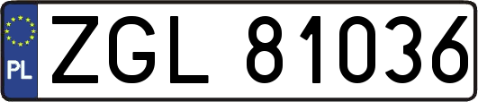 ZGL81036
