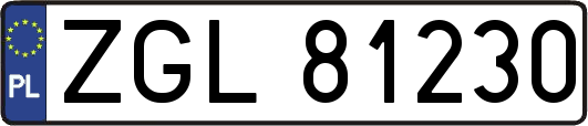 ZGL81230