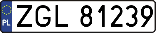 ZGL81239