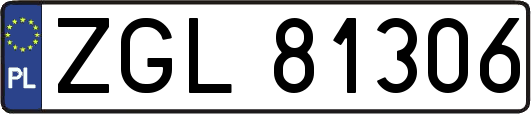 ZGL81306