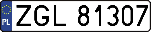 ZGL81307