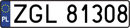 ZGL81308