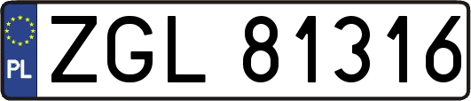 ZGL81316