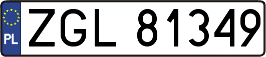 ZGL81349