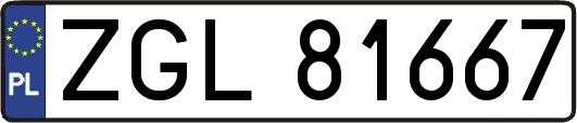ZGL81667